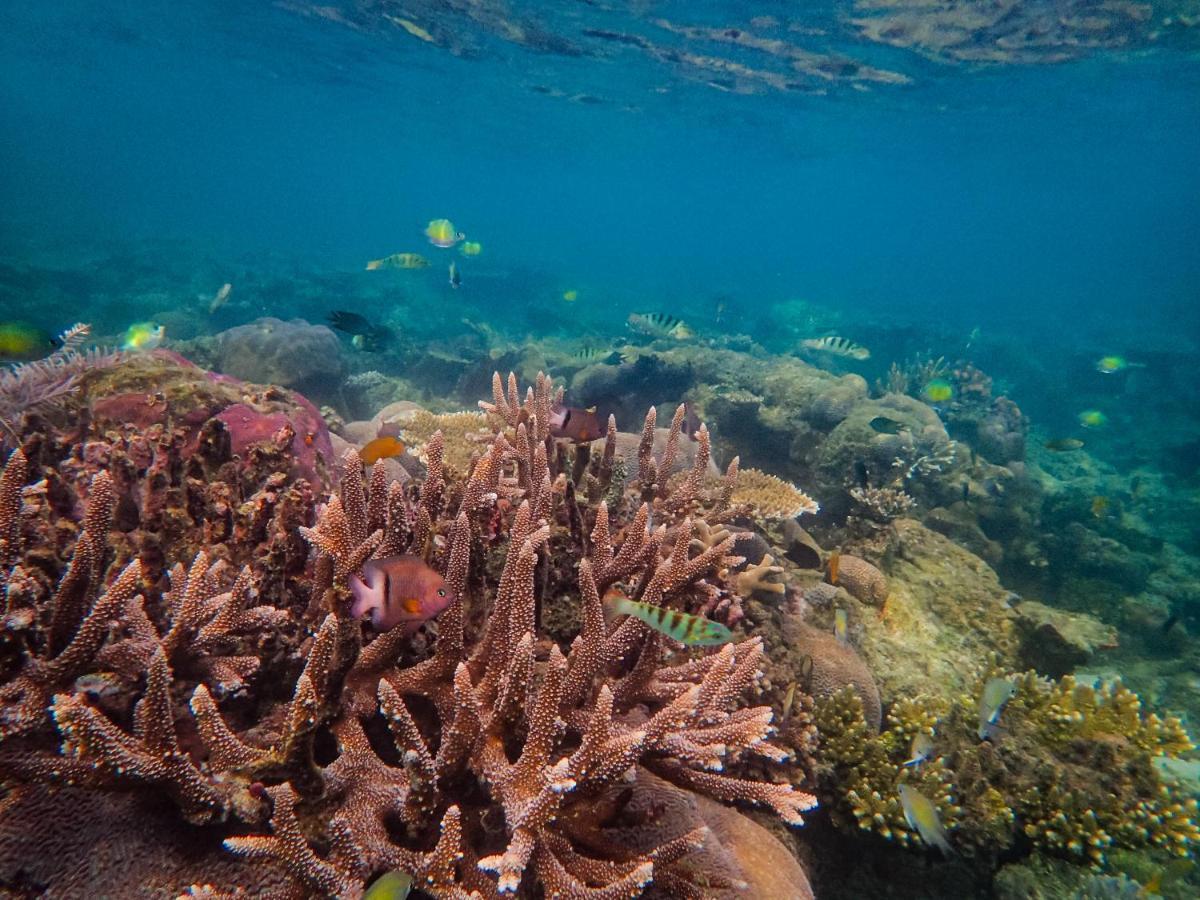 Raja Ampat Eco Lodge Tapokreng Exteriér fotografie