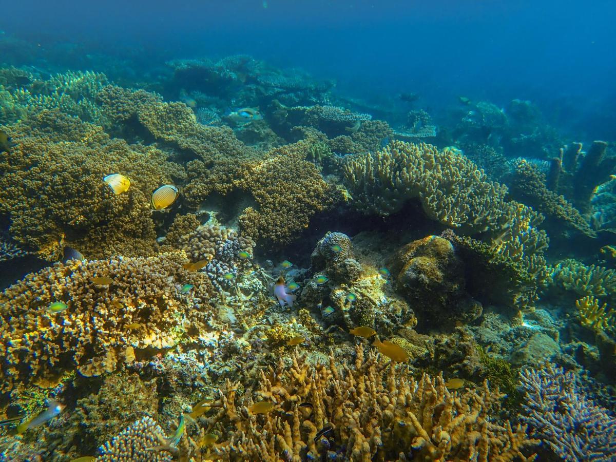 Raja Ampat Eco Lodge Tapokreng Exteriér fotografie
